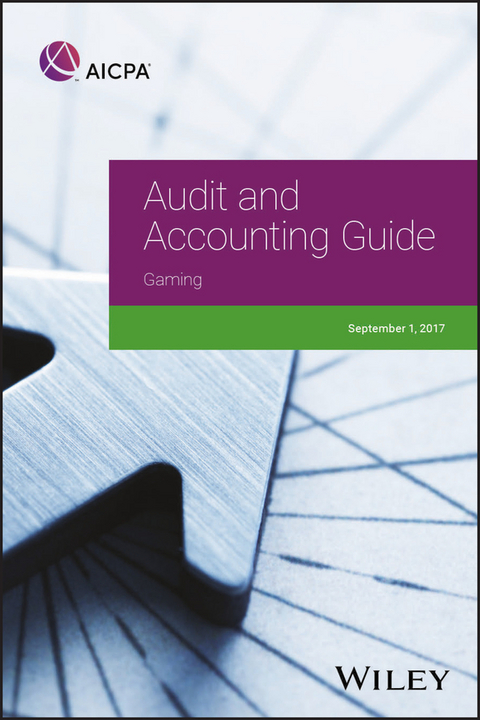 Audit and Accounting Guide