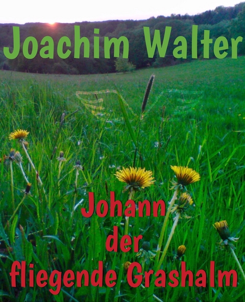 Johann der fliegende Grashalm - Joachim Walter