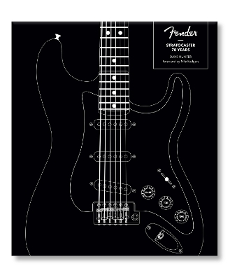 Fender Stratocaster 70 Years - Dave Hunter