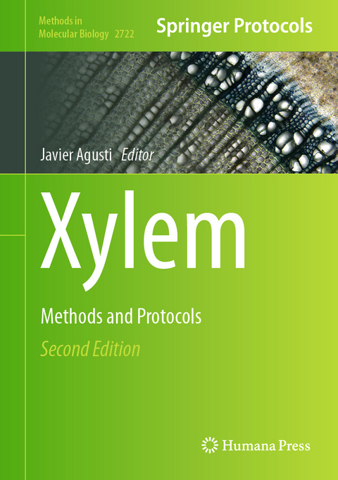 Xylem - 