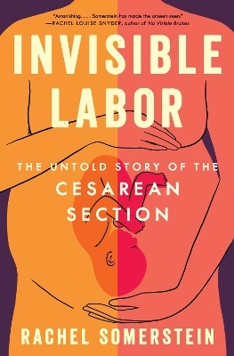 Invisible Labor - Rachel Somerstein