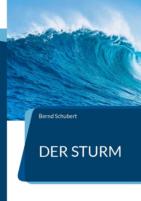 Der Sturm - Bernd Schubert