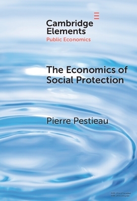 The Economics of Social Protection - Pierre Pestieau