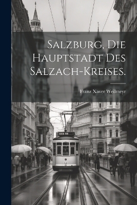 Salzburg, die Hauptstadt des Salzach-Kreises. - Franz Xaver Weilmeyr