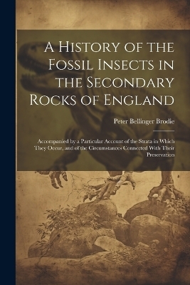 A History of the Fossil Insects in the Secondary Rocks of England - Peter Bellinger Brodie