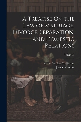 A Treatise On the Law of Marriage, Divorce, Separation, and Domestic Relations; Volume 3 - James Schouler, Arthur Walker Blakemore