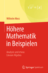 Höhere Mathematik in Beispielen - Wilhelm Merz