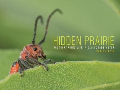 Hidden Prairie - Chris Helzer