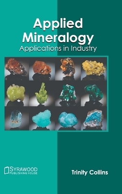 Applied Mineralogy: Applications in Industry - 