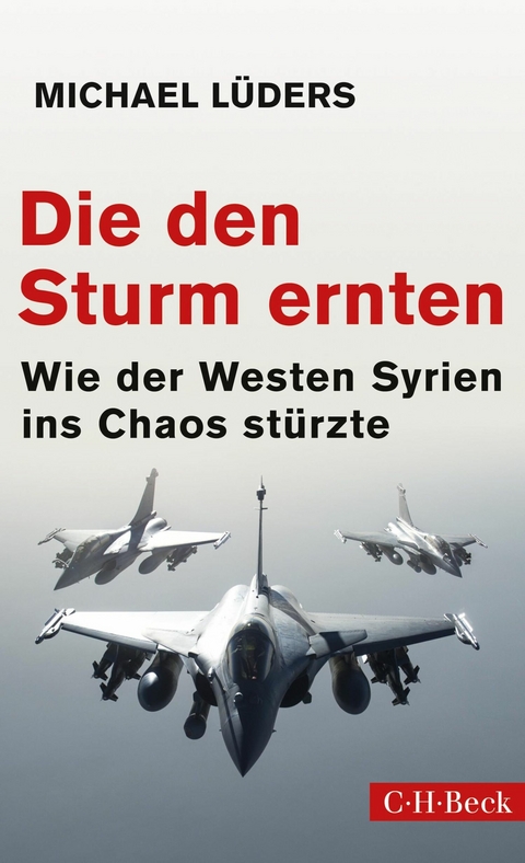 Die den Sturm ernten - Michael Lüders