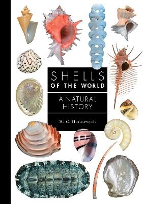 Shells of the World - M. G. Harasewych