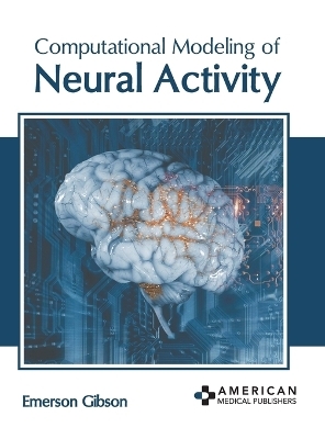 Computational Modeling of Neural Activity - 