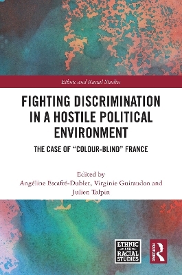 Fighting Discrimination in a Hostile Political Environment - 