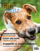 SitzPlatzFuss, Ausgabe 53 - 