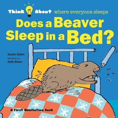 Does a Beaver Sleep in a Bed? -  Tireo