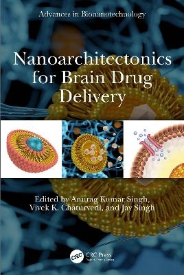 Nanoarchitectonics for Brain Drug Delivery - 