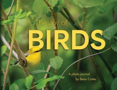 The Joy of Birds - 