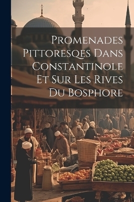 Promenades Pittoresqes Dans Constantinole Et Sur Les Rives Du Bosphore -  Anonymous