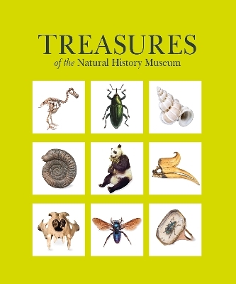 Treasures of the Natural History Museum - Natural History Museum