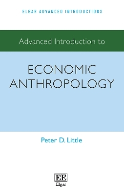 Advanced Introduction to Economic Anthropology - Peter D. Little