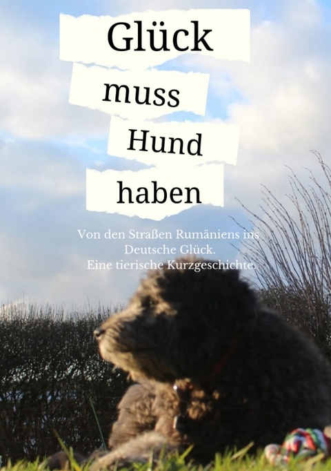 Glück muss Hund haben - Bella Dierssen