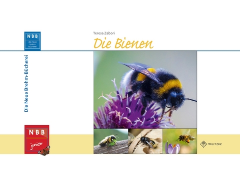 Die Bienen - Teresa Zabori