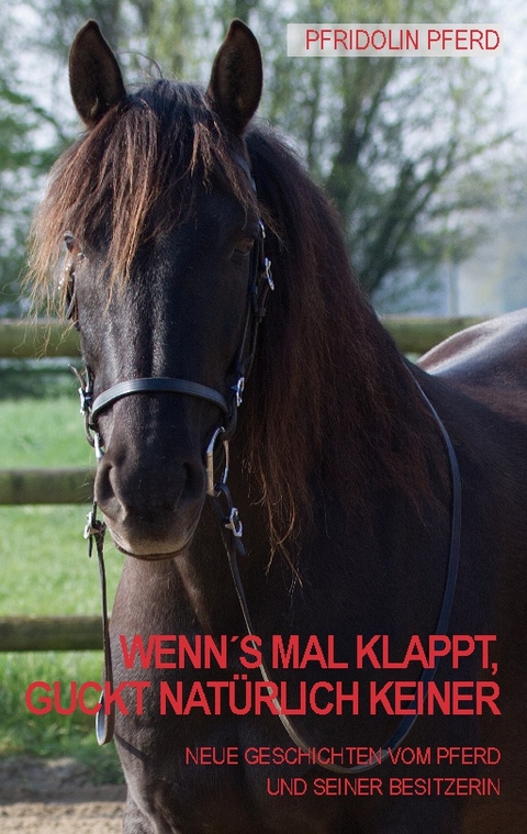 Wenn's mal klappt, guckt natürlich keiner - Pfridolin Pferd