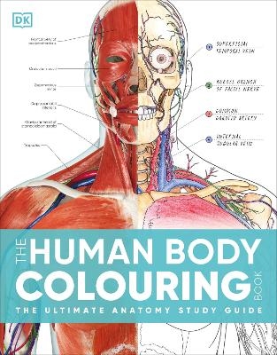 The Human Body Colouring Book -  Dk