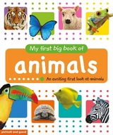 My First Big Book of Animals - 