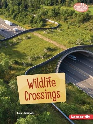 Wildlife Crossings - Lisa Idzikowski