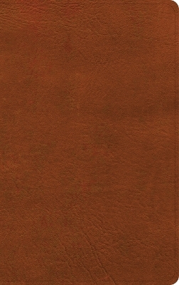 NASB Single-Column Personal Size Bible, Burnt Sienna Leathertouch -  Holman Bible Publishers