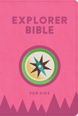 KJV Explorer Bible for Kids, Bubble Gum Leathertouch, Indexed -  Holman Bible Publishers