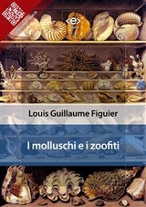 I molluschi e i zoofiti - Louis Guillaume Figuier