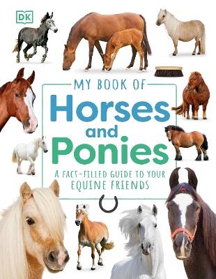 My Book of Horses and Ponies -  Dk