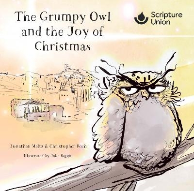 The Grumpy Owl and the Joy of Christmas (10 pack) - Jonathan Maltz, Christopher Poch