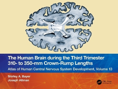 The Human Brain during the Third Trimester 310– to 350–mm Crown-Rump Lengths - Shirley A. Bayer, Joseph Altman