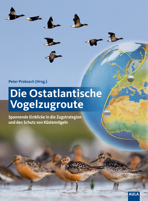 Die Ostatlantische Vogelzugroute - 