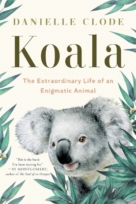 Koala - Danielle Clode