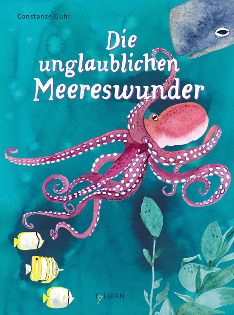 Die unglaublichen Meereswunder - Constanze Guhr