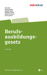 Berufsausbildungsgesetz - Barbara Huber, Philipp Brokes, Anita Aust, Markus Schüller, Peter Stocker, Manfred Schmidt