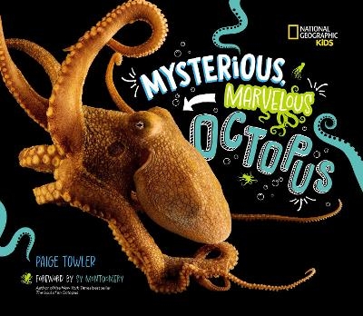 Mysterious, Marvelous Octopus! - Paige Towler