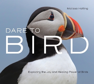 Dare to Bird - 