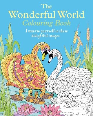 The Wonderful World Colouring Book - Tansy Willow