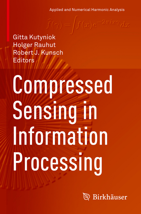 Compressed Sensing in Information Processing - 