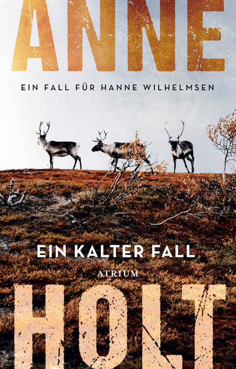 Ein kalter Fall - Anne Holt