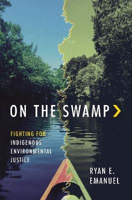 On the Swamp - Ryan Emanuel