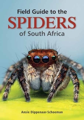 Field Guide to the Spiders of South Africa - Ansie Dippenaar-Schoeman