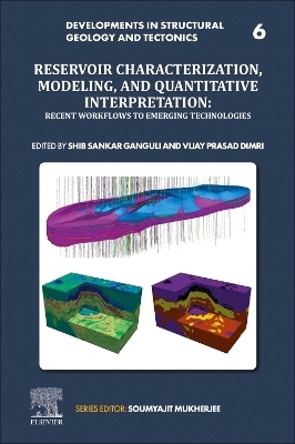 Reservoir Characterization, Modeling and Quantitative Interpretation - 