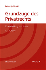 Grundzüge des Privatrechts - Bydlinski, Peter