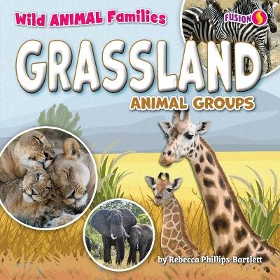 Grassland Animal Groups - Rebecca Phillips-Bartlett